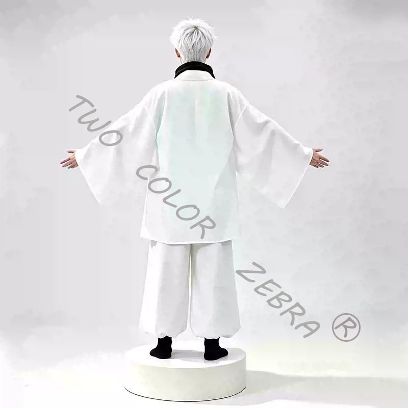 Anime Jujutsu Kaisen Season 4  - Anime Cosplay Gojo 评论和价格